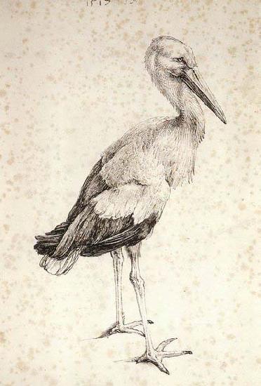 Albrecht Durer The Stork oil painting image